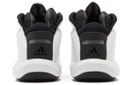 Кроссовки Adidas Crazy 1 "Storm Trooper"