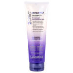 Giovanni, 2chic, восстанавливающий шампунь для поврежденных и подвергающихся частой укладке волос, ежевика и кокосовое молоко, 250 мл (8,5 жидк. унции)