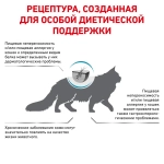 Корм сухой для кошек Royal Canin DR-25 hypoallergenic, 500г