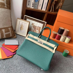 Hermes Birkin 25