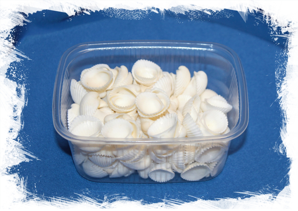 Анадара Пилюля, 1-2,5см, 100гр, 60шт