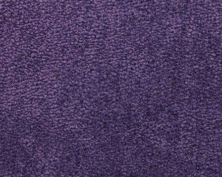 Коллекция Терри