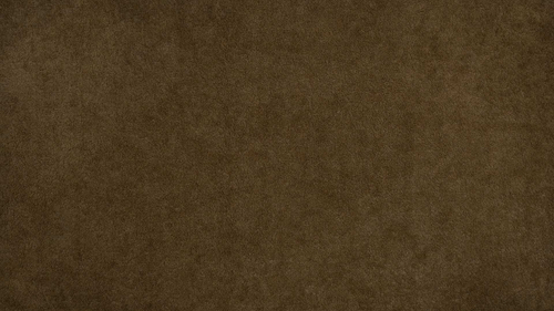 TEDDY PRO 8 мебельная ткань велюр коричневый, 1,4 м