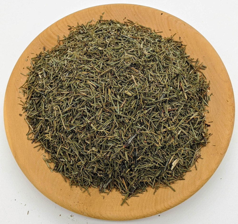 Хвощ полевой