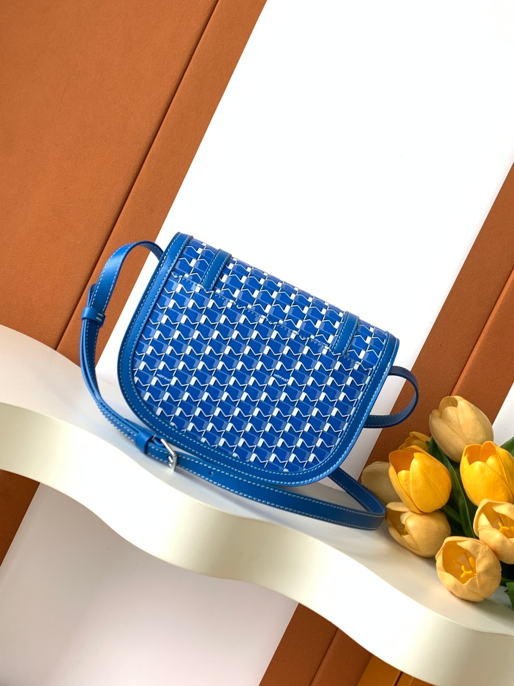 Moynat Besace Bag 22 cm