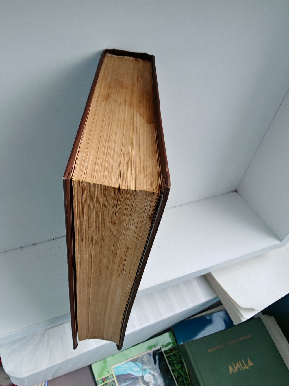 Звезды смотрят вниз