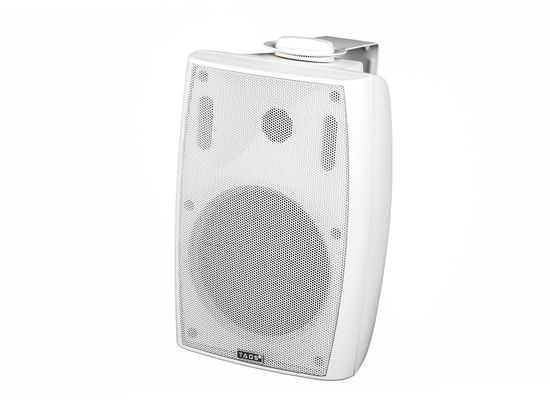 Громкоговоритель настенный, 20Вт, белый, TADS DS-551K-WHITE