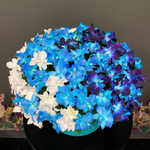 Букет из орхидей «Космос Антарктика»