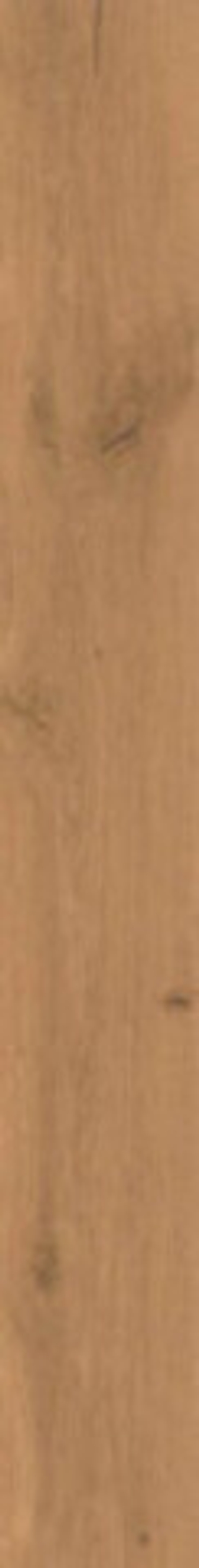 Керамогранит Log Amber Oak (AX3O)