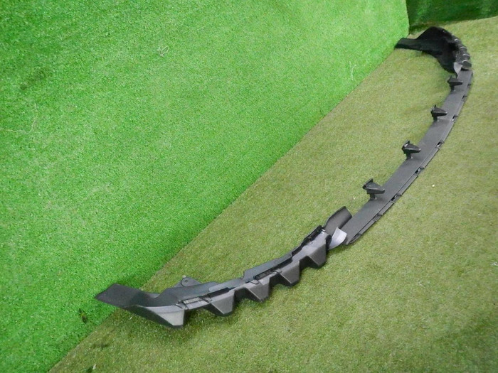 DSCN6209.JPG