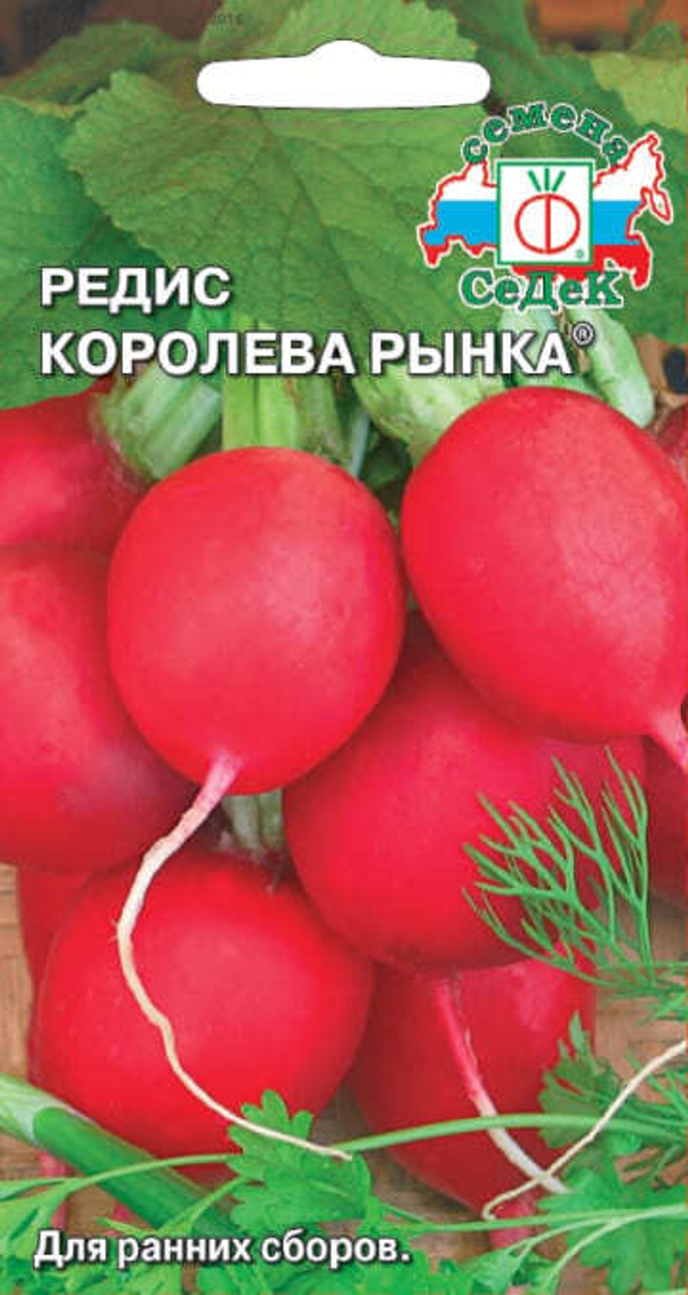 Редис Королева Рынка 3г/ск/19-21дн/СеДеК