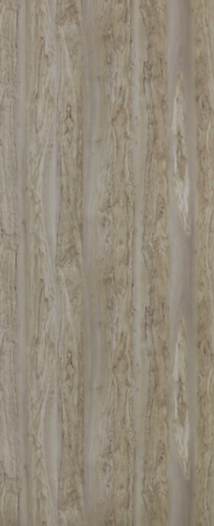 Олива европейская