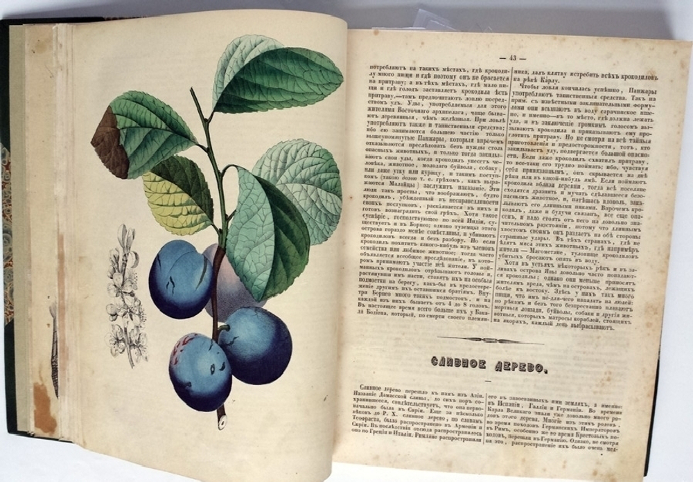 "Любителям чтения. Рассказы и описания по части географии, истории, физике и естественной истории, взятые из сочинений лучших писателей"   1849 г. - редкая книга