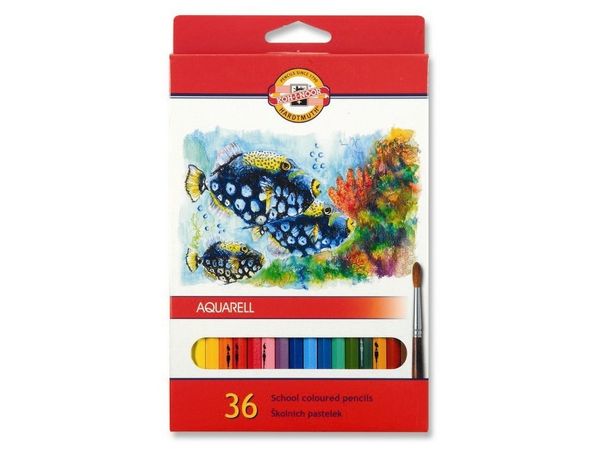 Набор школьных акварельных карандашей FISH 36 цветов в картонной коробке