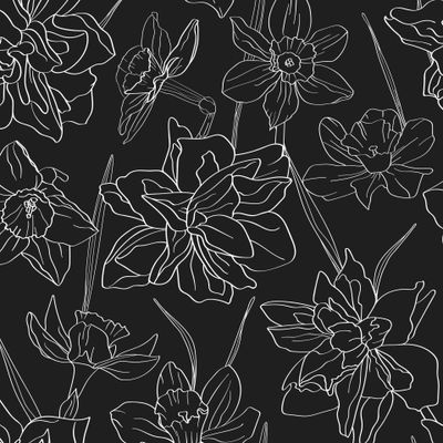 Цветы, листья и веточки нарциссов нарисованы на чёрном фоне.