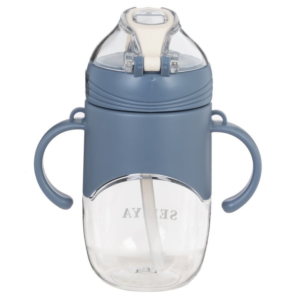 GAEM Бутылка, 300 мл, L13 W7,5 H16 см, 4в.