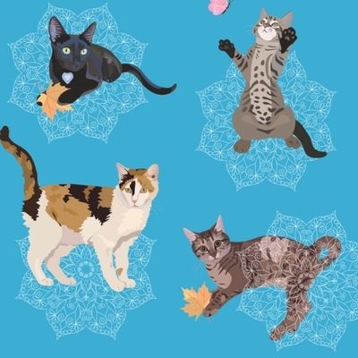Котики на голубом