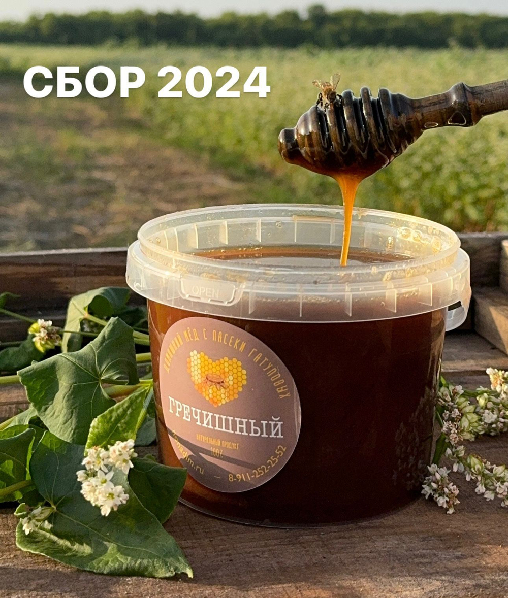 Гречишный мёд 2024г
