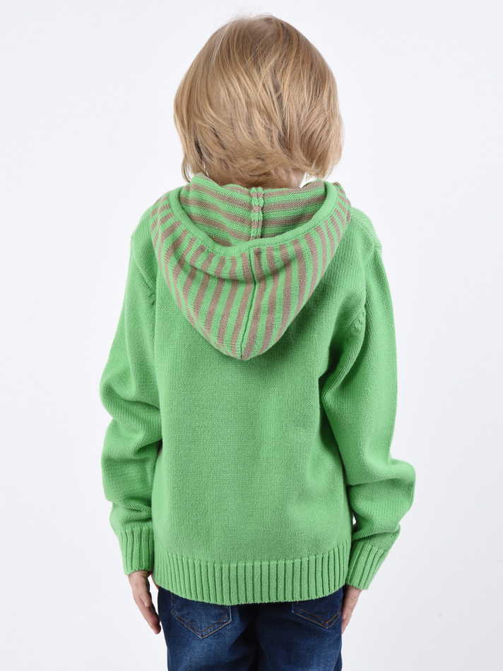 Свитер с капюшоном для мальчика