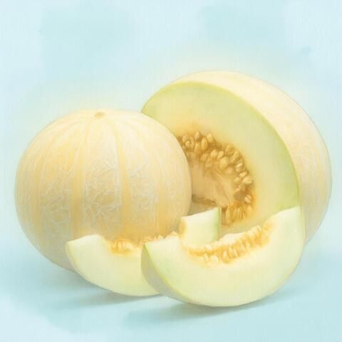 Отдушка «Дыня», 50гр