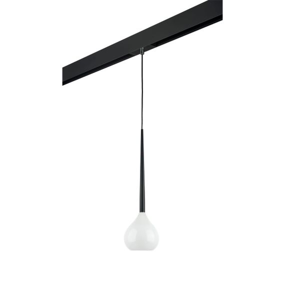 Комплект с трековым светильником Lightstar Forma (808110+595007) PRO808110