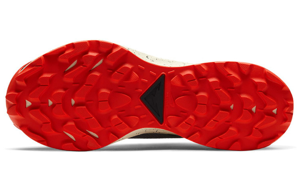 Кроссовки Nike Pegasus Trail 2 Gtx (Женская размерная сетка)