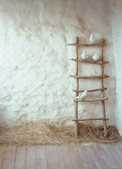 Голуби №1 (тематика 9-е Мая) - фон неопреновый