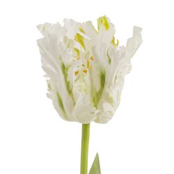 GAEM Цветок искусственный "Тюльпан" (Real Touch), L8 W8 H69 см