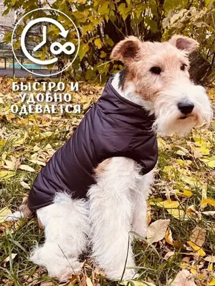 Жилет для собак мелких средних крупных пород