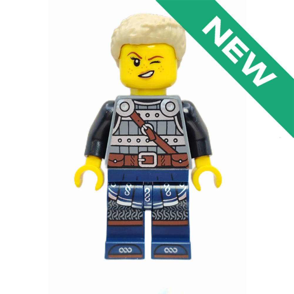 NEW викинг-щитоносец idea170