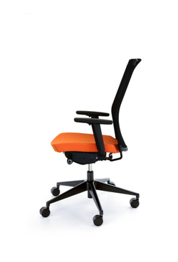 Perfo III 213S