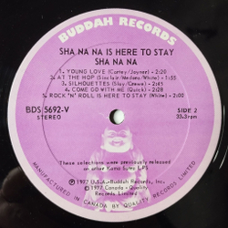Винтажная виниловая пластинка LP Sha Na Na Is Here To Stay (Canada 1977)