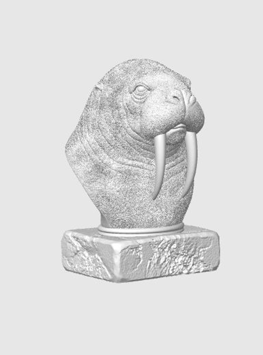 Морж