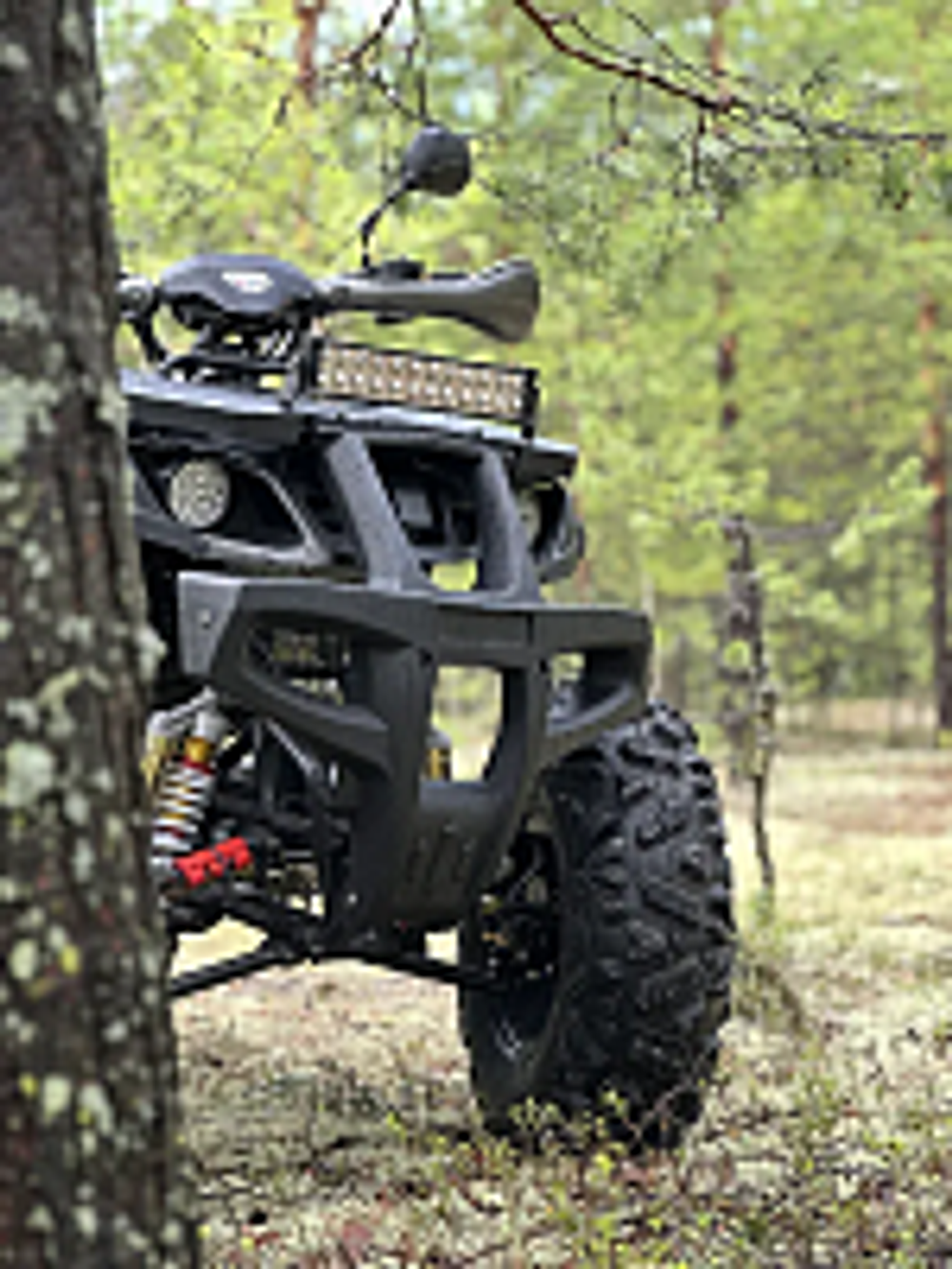 Квадроцикл PROMAX 320 DOMINATOR (2025)