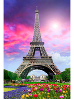 Алмазная мозаика 30х40см. "Цветущий Париж" блест. с полн.заполнен.без подрам.(30цв) (Арт.НД-2674)