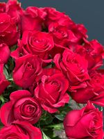 Розы 51 шт