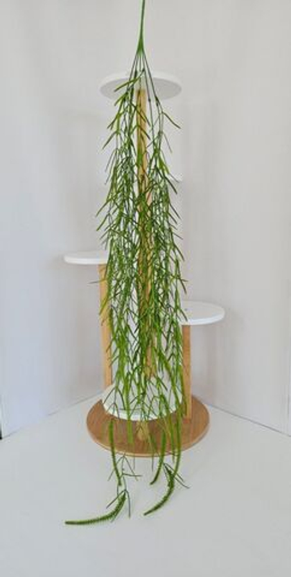 Ива / Арт 4285