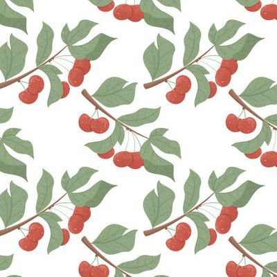 Спелые вишни или черешни. Сладкая вишневая ягода на ветке с листьями на белом фоне. Яркие вкусные ягоды. Ягодный паттерн.