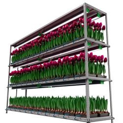 Светильник АгроСвет Сonstant 300вт 664мкмоль (полный спектр) FS-V-AGRO-300-65-XY-306-ZZZ