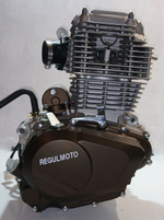 Двигатель ZS175-FMM мотоцикл REGULMOTO SPORT 003
