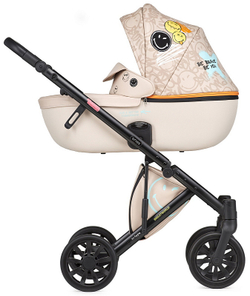 Детская коляска Anex e/type 3 в 1 joy