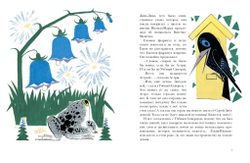 Серая Звёздочка