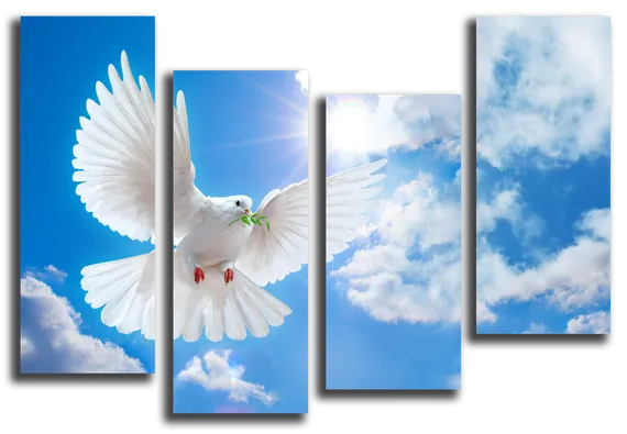 Модульная картина "Белый голубь"