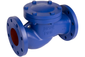 Клапан обратный подъемный фланцевый, Rushwork 487