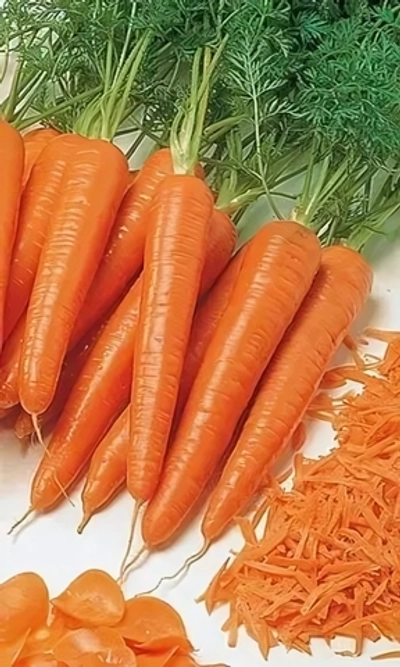 Семена Морковь Тушон