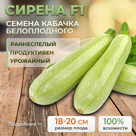 СИРЕНА F1 семена кабачка (Syngenta | Alexagro)
