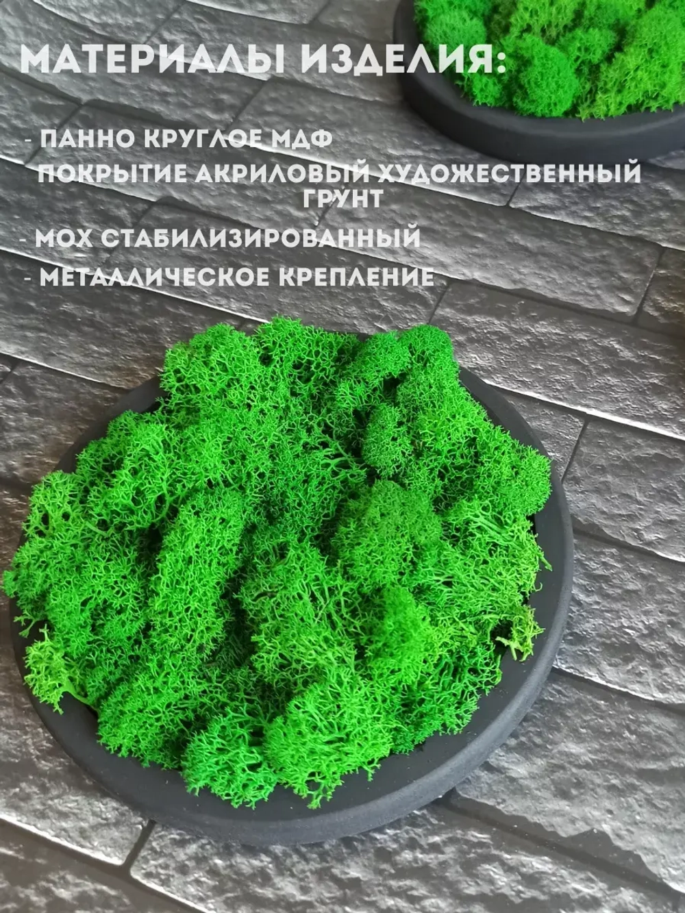 Панно из мха набор 3 шт.