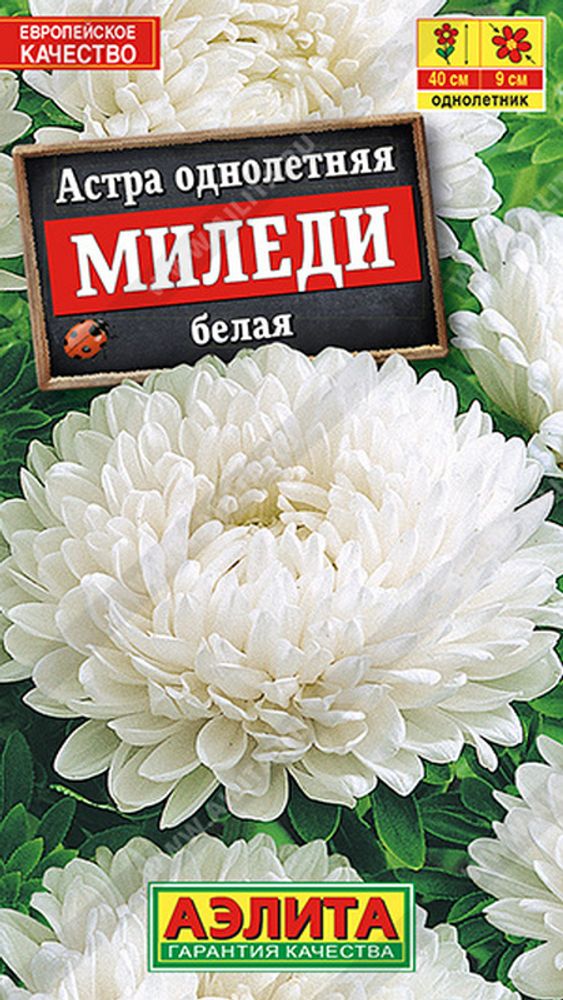 Астра &quot;G. Миледи белая&quot; 0.2г., Россия.