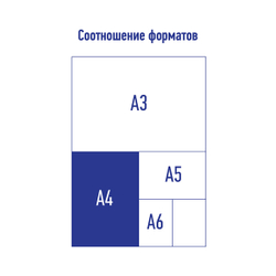 Папка-конверт на 2 кнопках "xProject" А4, серая/желтая, 300мкм, Berlingo