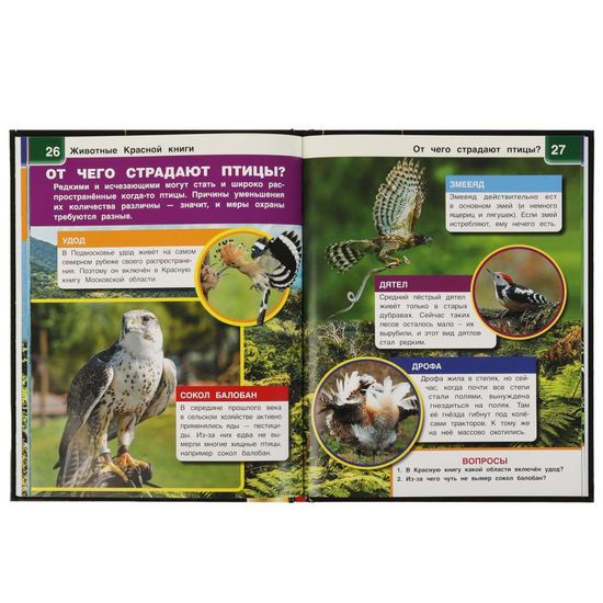 Энциклопедия А4 с дополненной реальностью 4D. ЖИВОТНЫЕ КРАСНОЙ КНИГИ. 197х255мм,48 стр. Умка